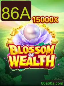 Explorando o Mundo de BlossomofWealth: Uma Jornada de Estratégia e Fortuna